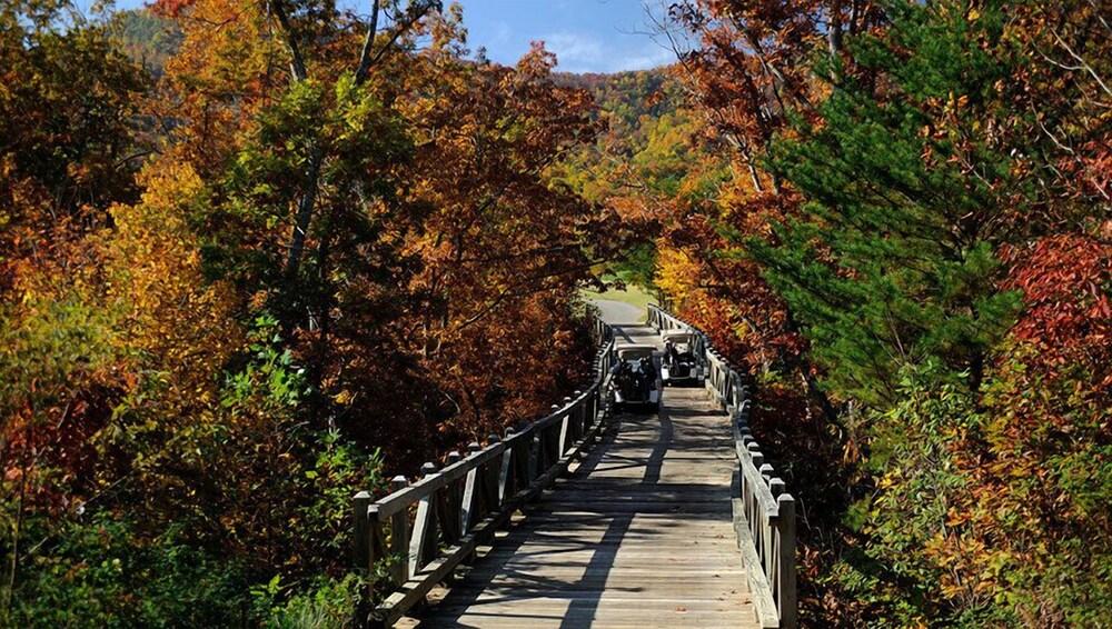 Bright's Creek Lodge photo 15