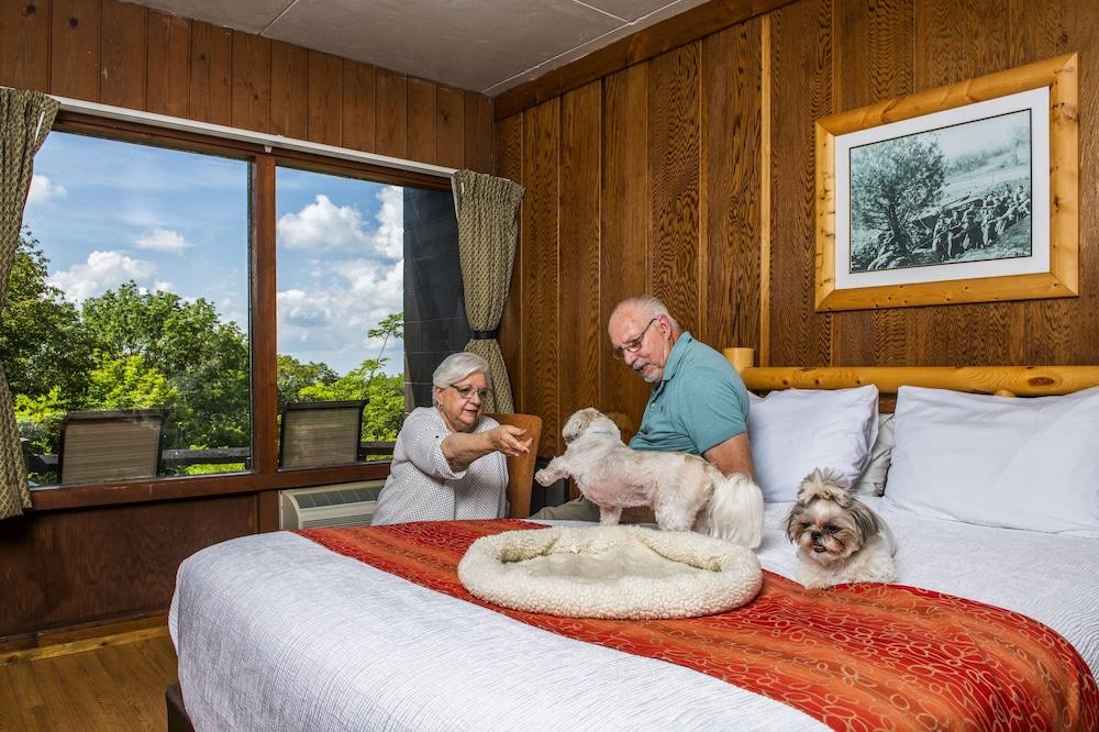 Big Meadows Lodge photo 7