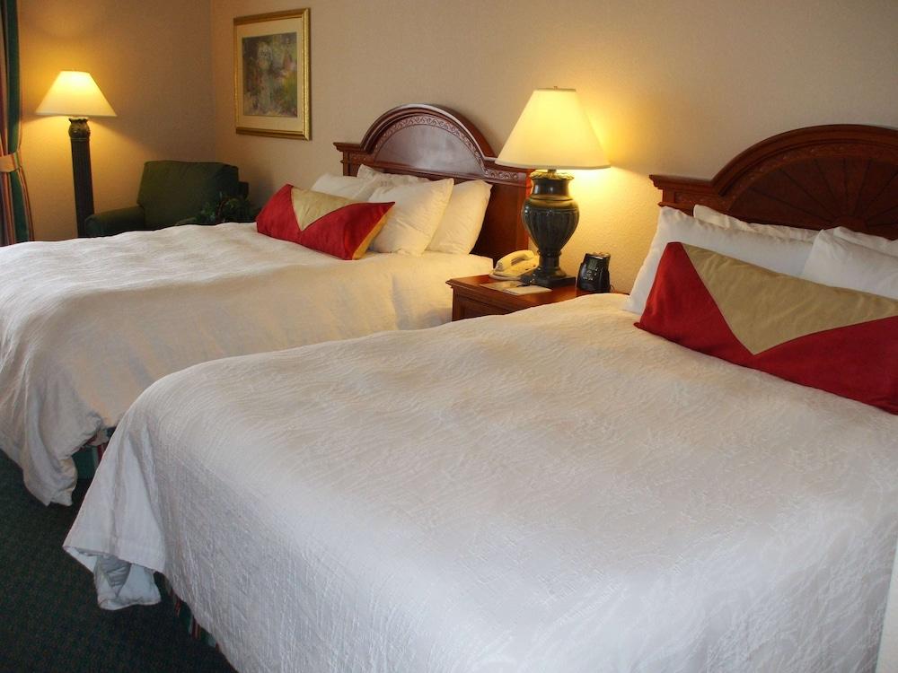 Hilton Garden Inn Columbus Airport photo 20