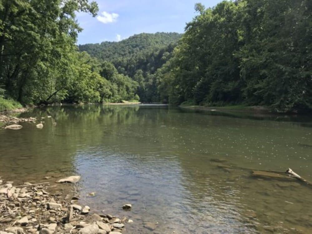 Fox Run Resort photo 6