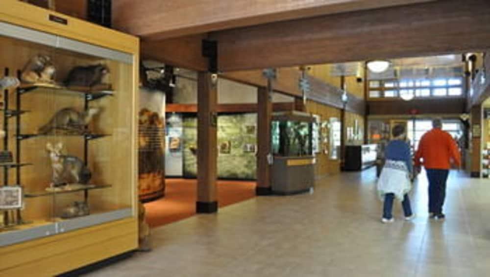 Starved Rock Lodge & Conference Center photo 40