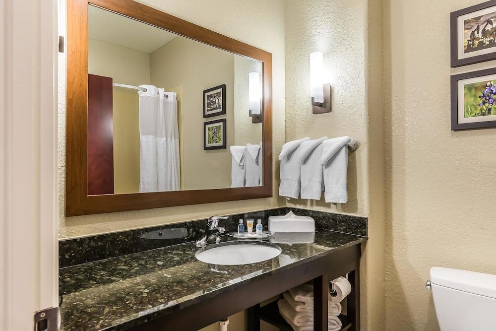 Comfort Suites Houston IAH Airport - Beltway 8 photo 14