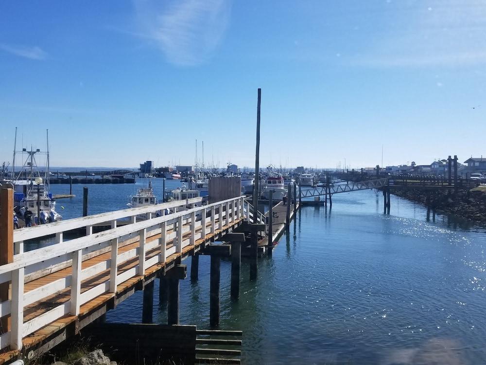 Islander Westport photo 73