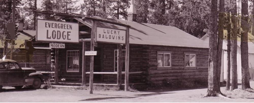 The Evergreen photo 1