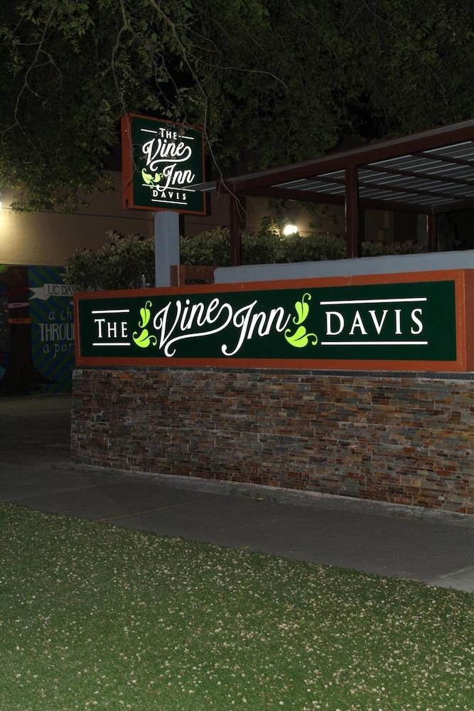 The Vine Inn Davis photo 25