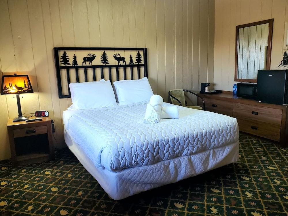 The Carter inn photo 4