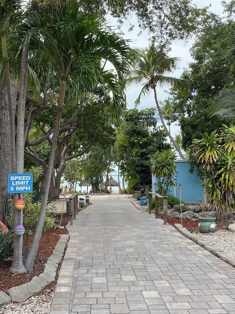 Seafarer Key Largo photo 21