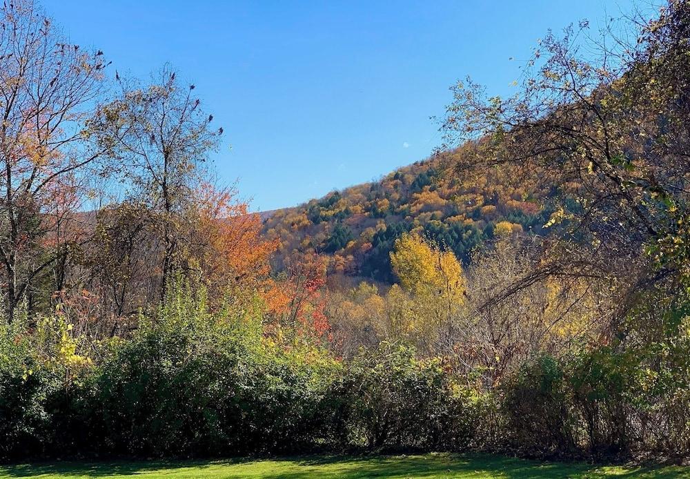 Green Acres Retreat photo 85