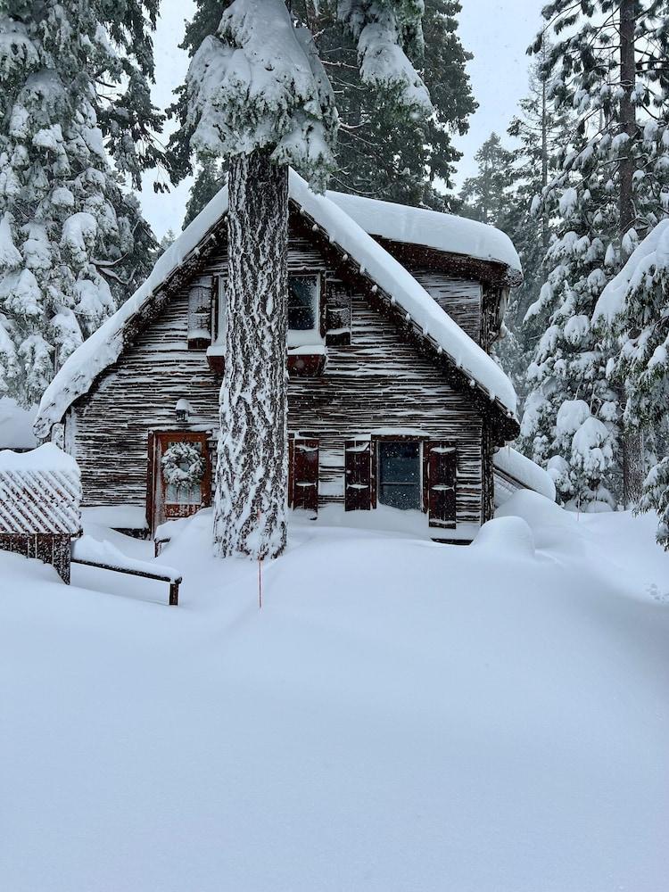 The Cottage Inn photo 70