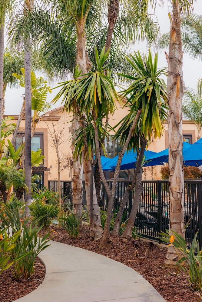 The Cove Hotel, Long Beach photo 46