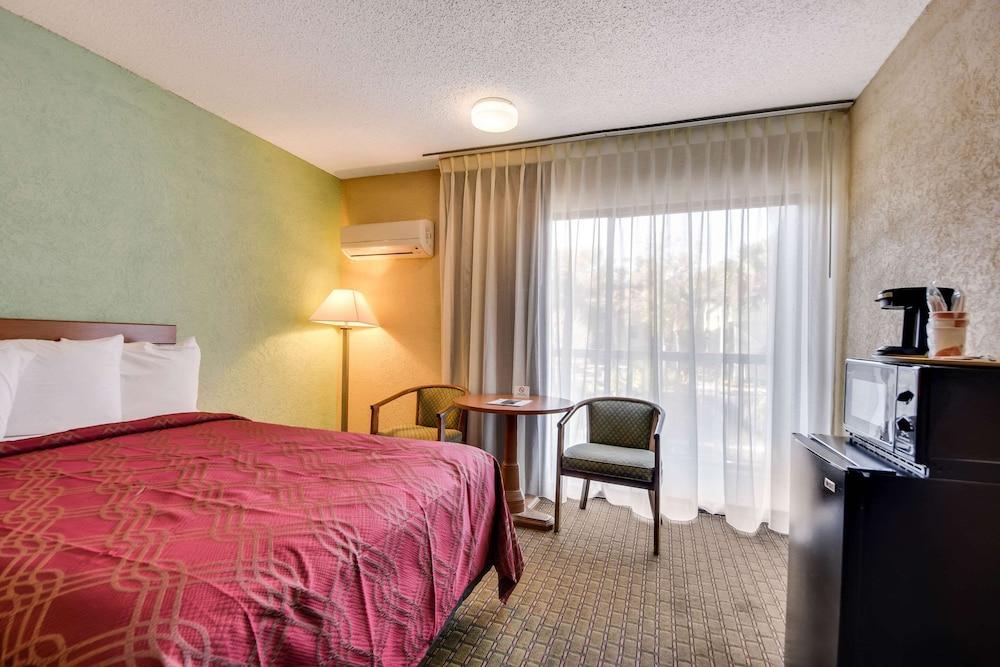 Econo Lodge Tampa near Busch Gardens photo 45