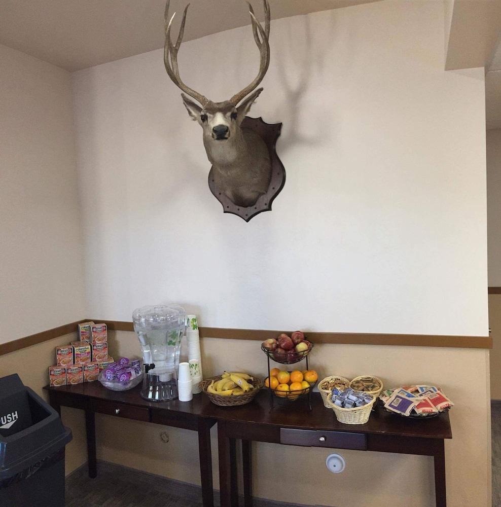 Geyser Inn photo 17