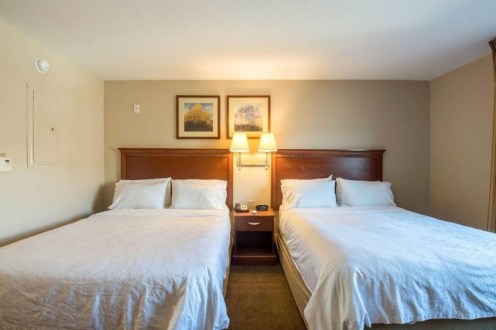 Western Slope suites photo 15