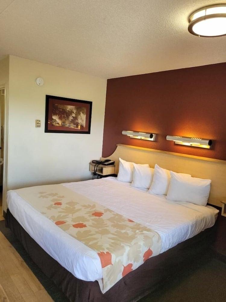 Red Oak Inn Detroit - Southfield photo 5