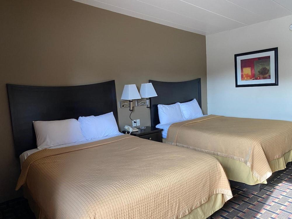 Executive Inn photo 11
