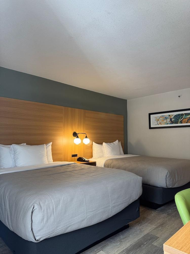 Quality Inn Orlando Near International Drive photo 14