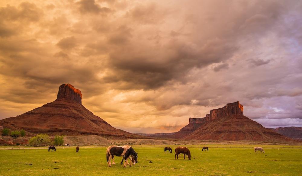 Sorrel River Ranch Resort photo 86