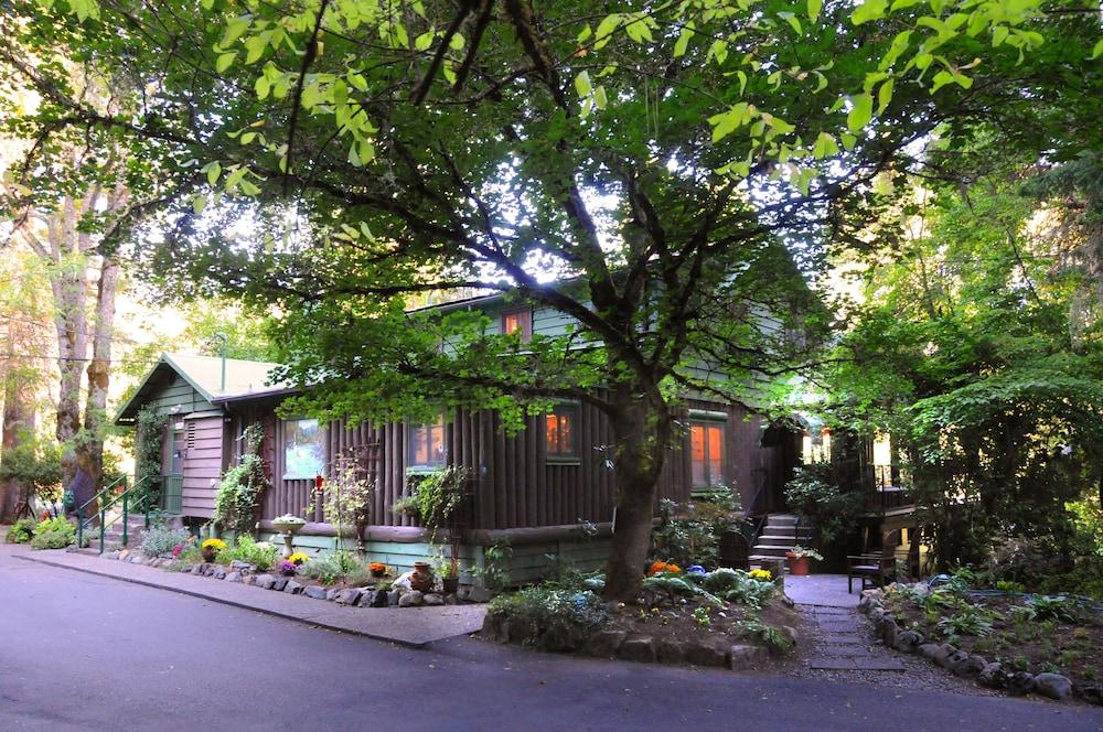 Morrison's Rogue River Lodge photo 1