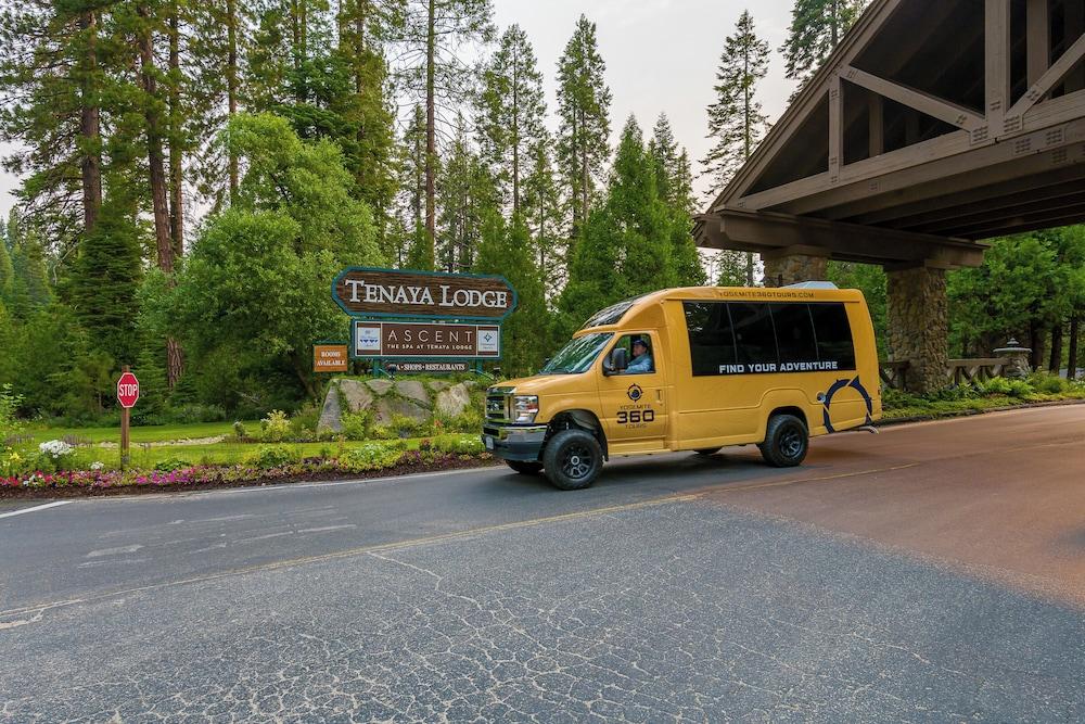 Tenaya at Yosemite photo 43