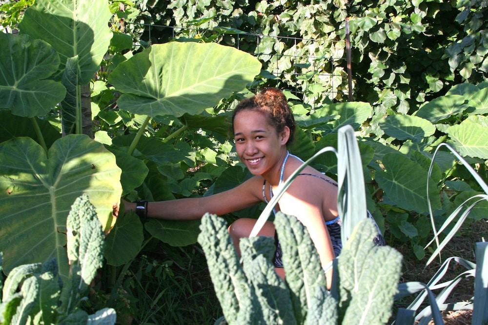Hawaii Island Retreat photo 63