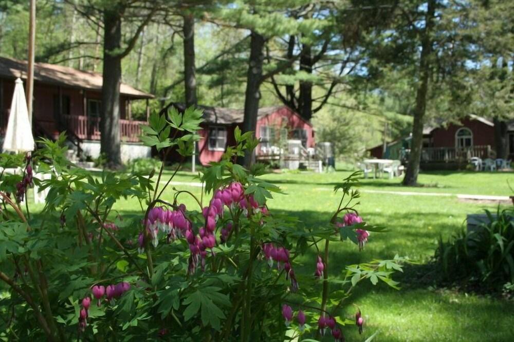 Silver Spruce Resort photo 9