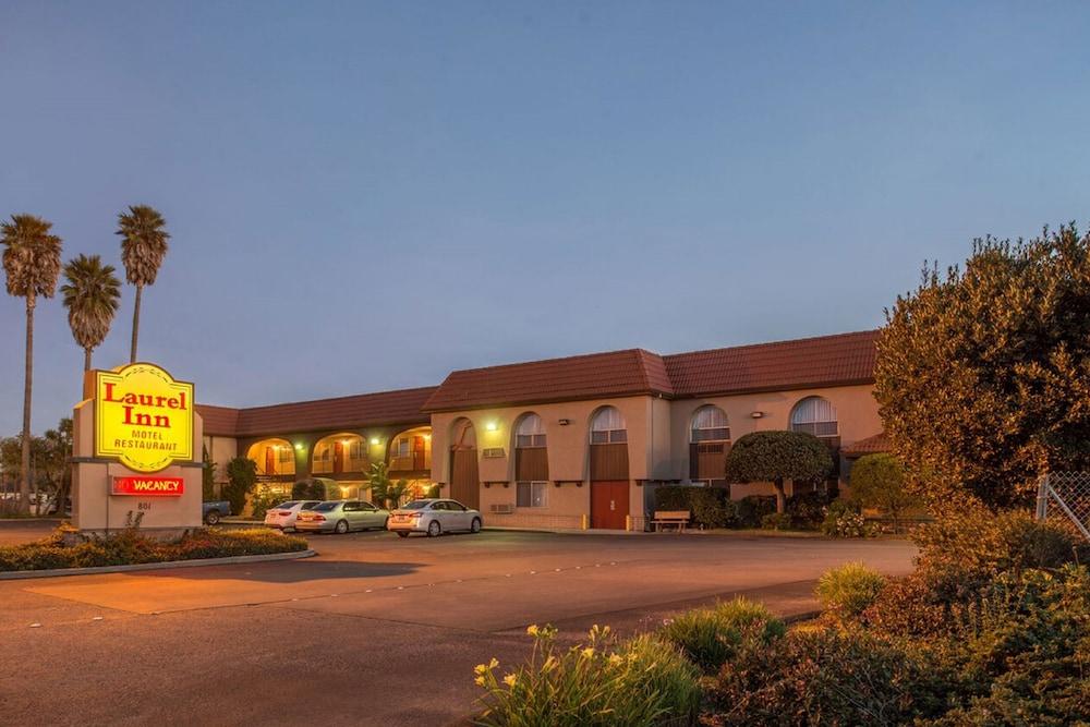 Laurel Inn Motel photo 56
