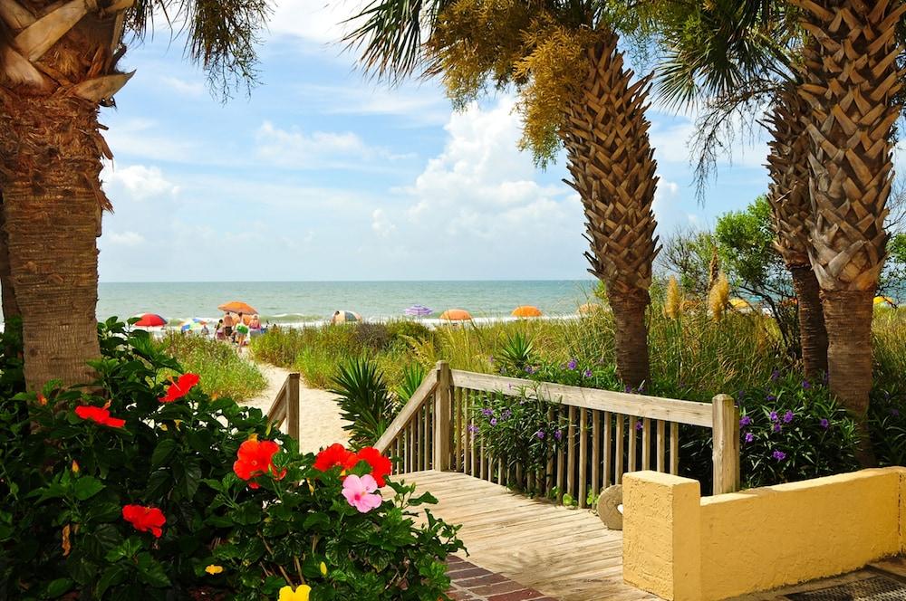 Sea Mist Oceanfront Resort photo 13