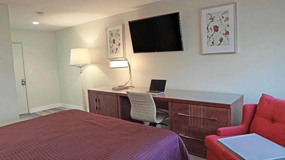 Del Mar Motel photo 16