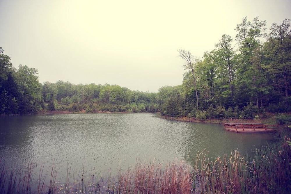 Cliffview Resort photo 18
