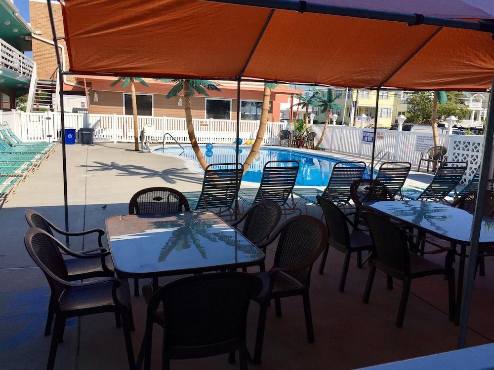 Dolphin Inn photo 15