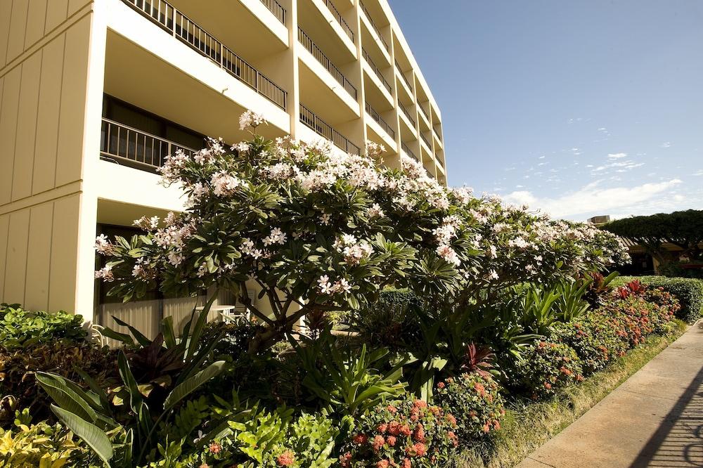 Sugar Beach Resort photo 50