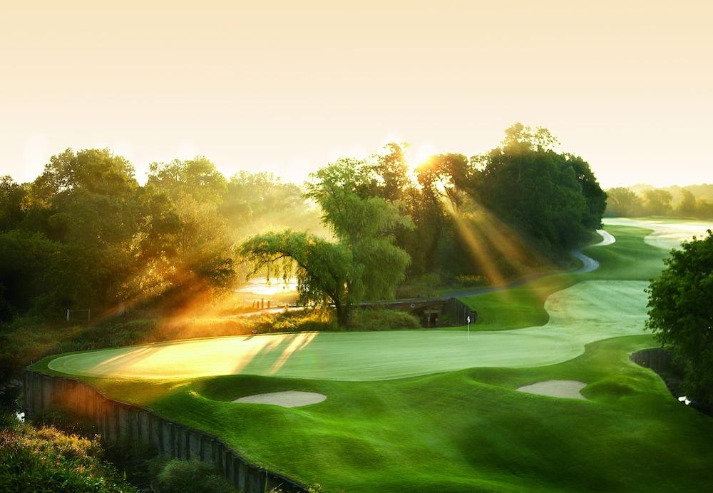 The American Club photo 61