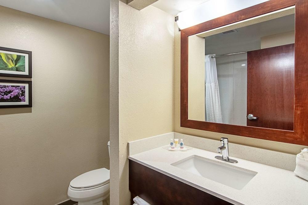 Comfort Suites Knoxville Airport photo 28