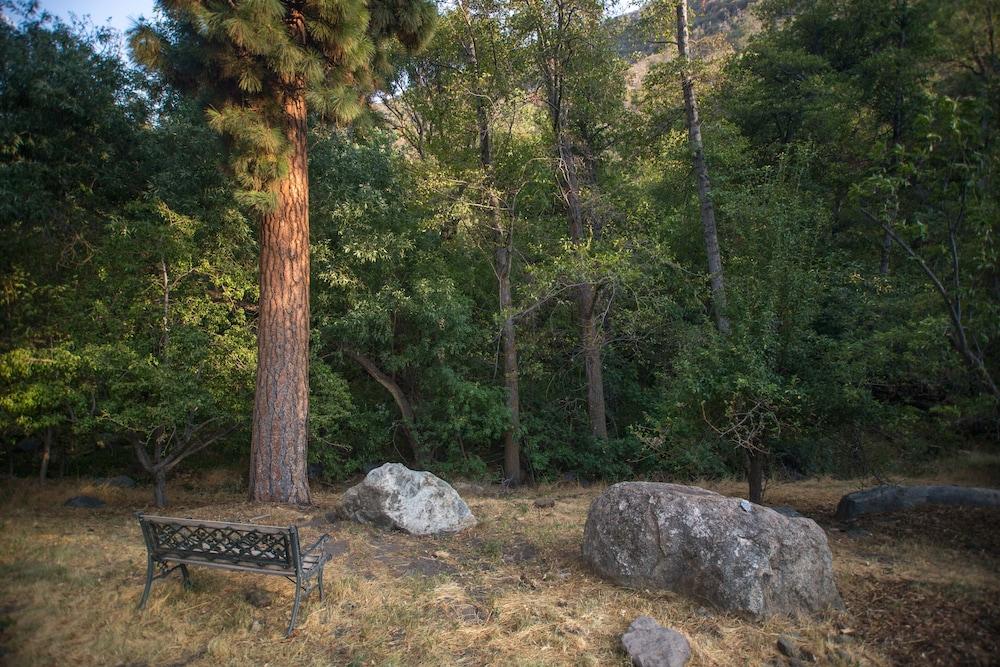 Quiet Mind Lodge Retreat & Spa  Sequoias photo 63
