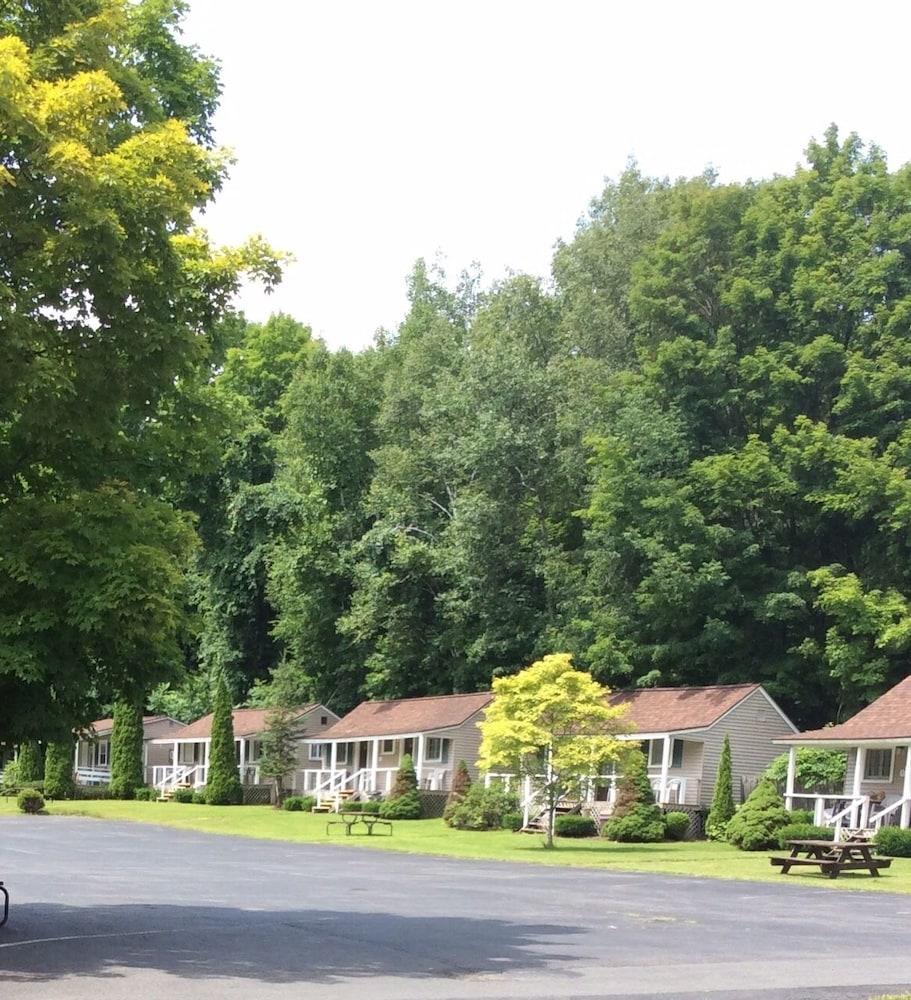 Adirondack Oasis Motel photo 50