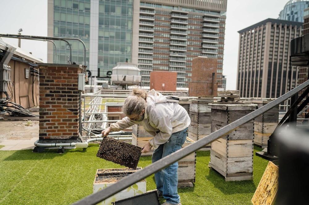 The Lenox Hotel Boston photo 4