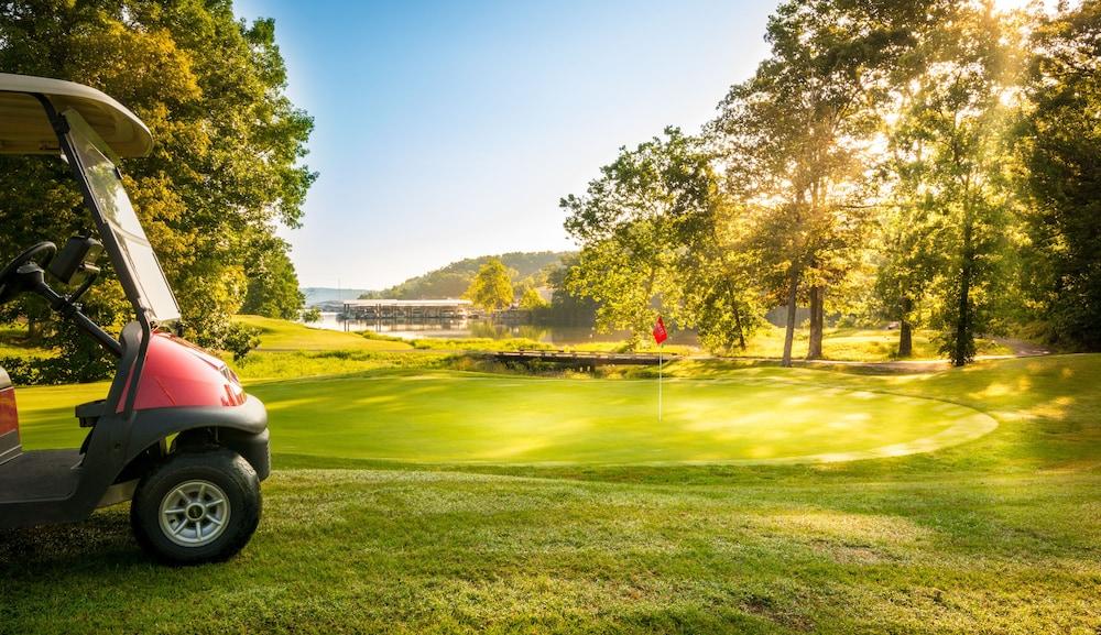 Lodge Of Four Seasons Golf Resort, Marina & Spa photo 5