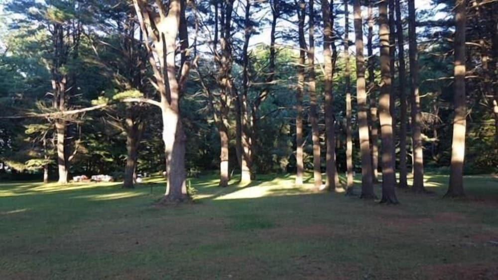 Catskill Motor Court Motel photo 32