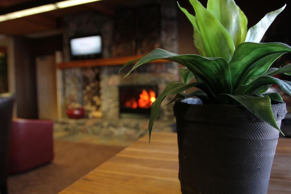 C'mon Inn Hotel & Suites photo 3