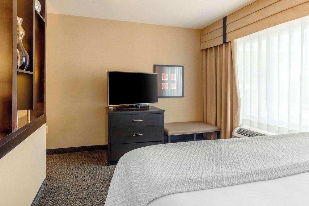 SpringHill Suites by Marriott Fort Collins photo 58