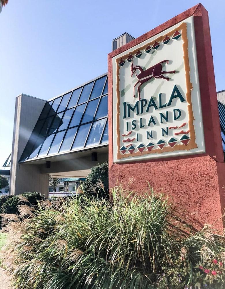 Impala Island Inn photo 24