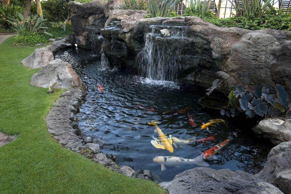 Sugar Beach Resort photo 64