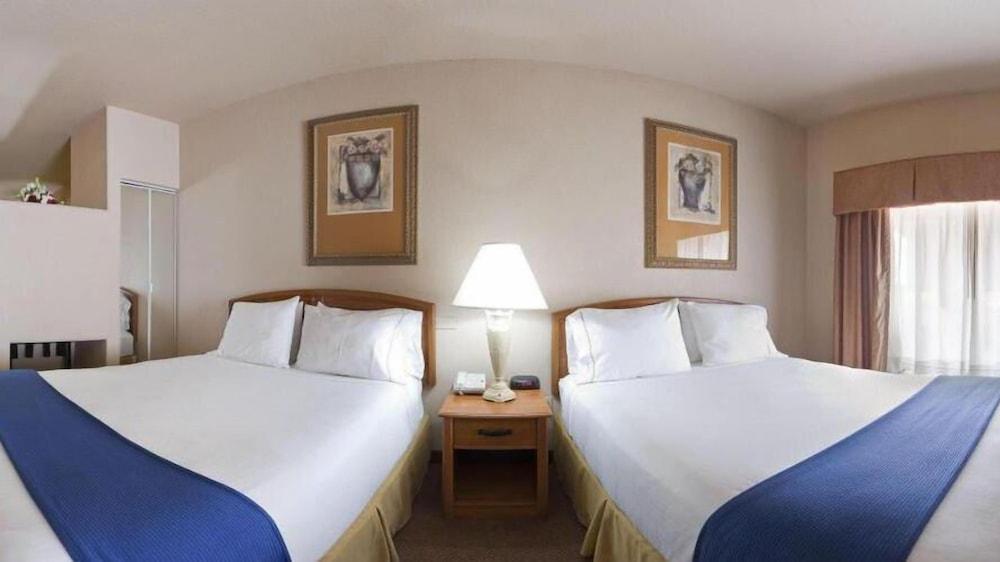 Holiday Inn Express Hotel & Suites Mission-McAllen Area by IHG photo 2