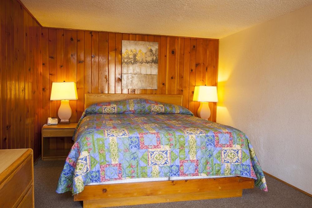Park Row Lodge photo 14