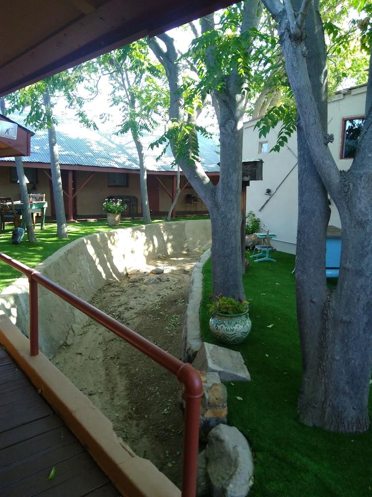 Shep's Miners Inn photo 43