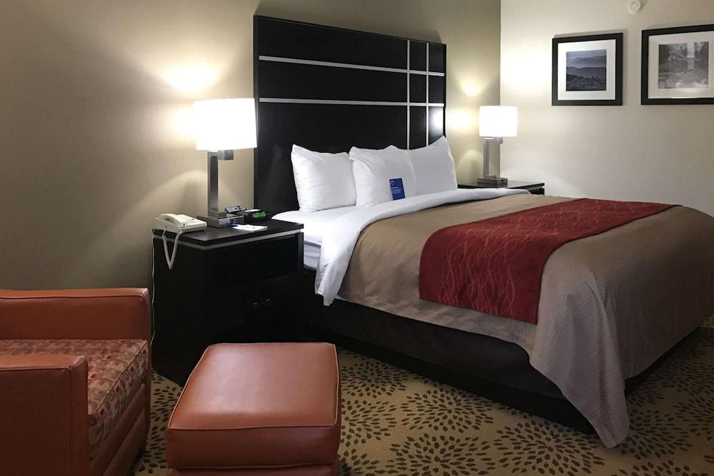 Comfort Inn North of Asheville photo 45