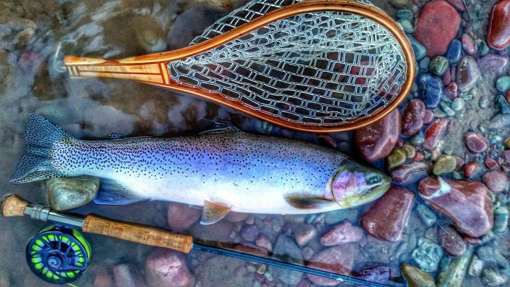 Glacier Guides Lodge photo 15