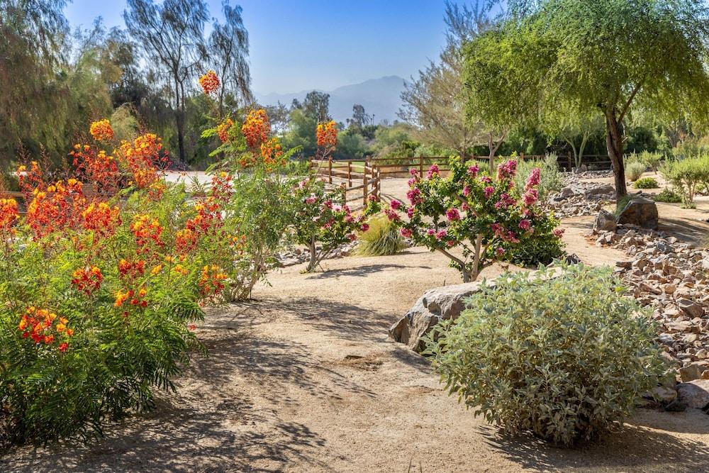 The Westin Desert Willow Villas, Palm Desert photo 84