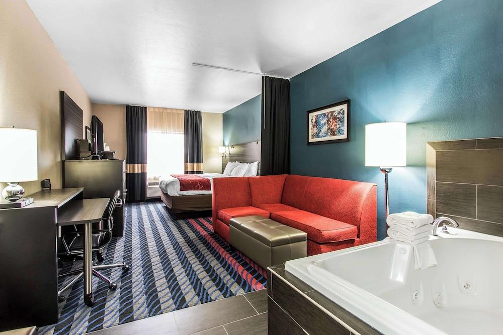 Comfort Suites Fairgrounds West photo 27