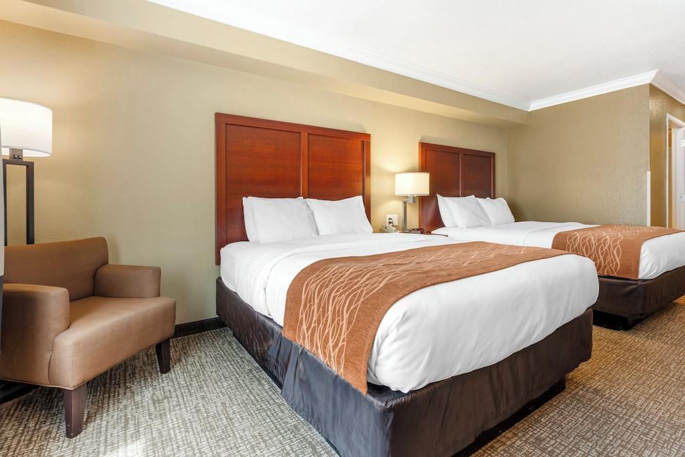 Comfort Inn Arcata - Humboldt Area photo 5